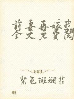 前妻再嫁我一次全文免费阅读