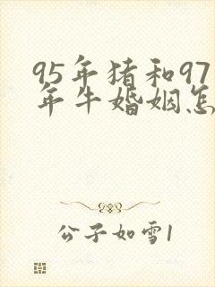 95年猪和97年牛婚姻怎么样