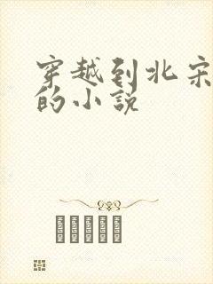 穿越到北宋末年的小说