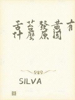 舌苔发黄有齿是什么原因