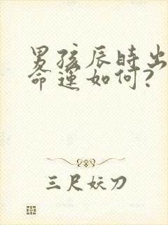 男孩辰时出生的命运如何?