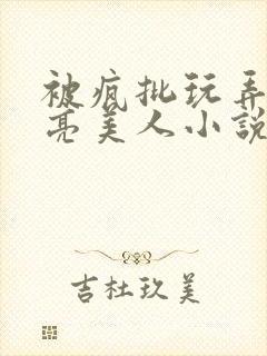 被疯批玩弄的漂亮美人小说