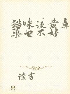 猫咪流黄鼻涕吃药也不好