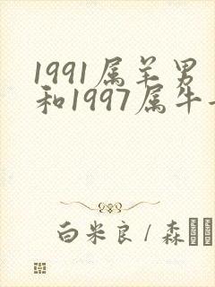 1991属羊男和1997属牛女婚姻如何