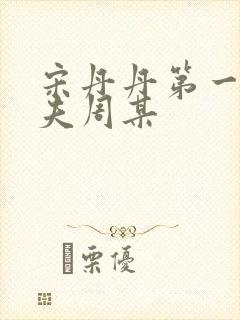 宋丹丹第一任丈夫周某