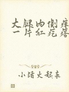 大腿内侧痒挠完一片红疙瘩封面