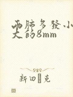 两肺多发小结节大的8mm