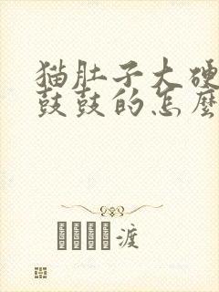 猫肚子大硬硬的鼓鼓的怎么回事封面