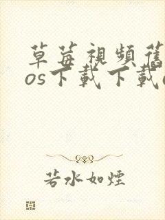 草莓视频旧版ios下载下载app