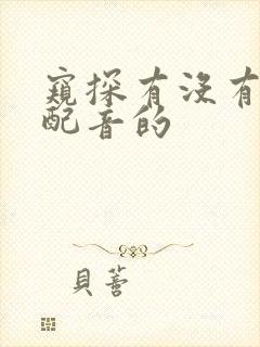 窥探有没有国语配音的