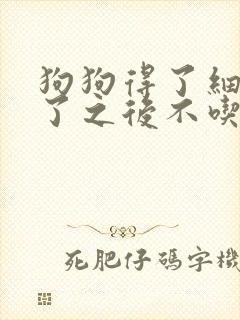 狗狗得了细小好了之后不吃东西怎么办