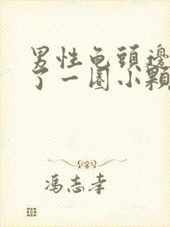 男性龟头边缘长了一圈小颗粒封面