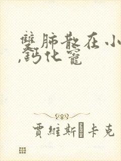 双肺散在小结节,钙化灶