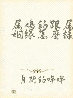 属鸡的跟属猴的姻缘怎么样