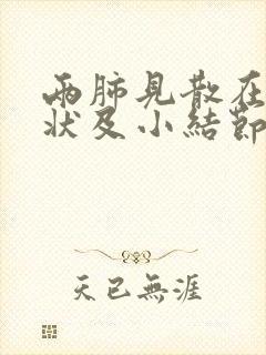 两肺见散在斑点状及小结节