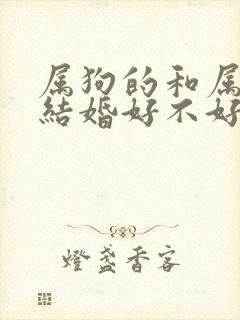 属狗的和属猴的结婚好不好