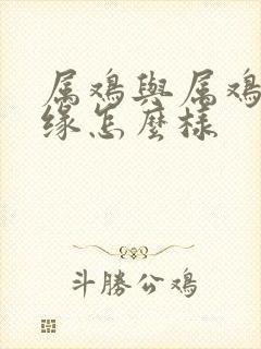 属鸡与属鸡的姻缘怎么样