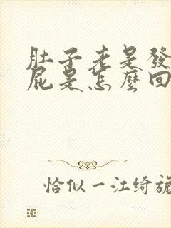 肚子老是发胀放屁是怎么回事封面