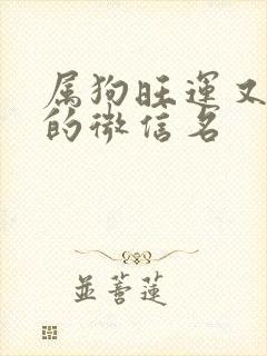 属狗旺运又旺财的微信名