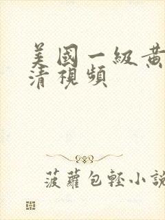 美国一级黄色高清视频