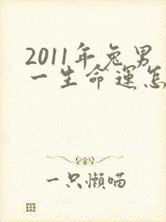 2011年兔男一生命运怎样