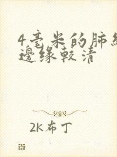 4毫米的肺结节边缘较清