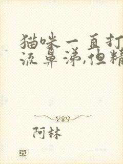 猫咪一直打喷嚏流鼻涕,但精神很好