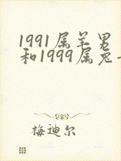 1991属羊男和1999属兔女的婚姻怎么样