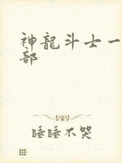 神龙斗士一共几部