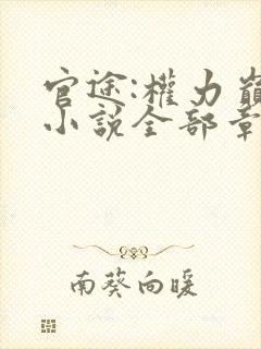 官途:权力巅峰小说全部章节