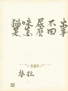 猫咪尿不出尿血是怎么回事封面