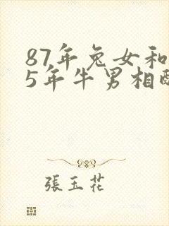 87年兔女和85年牛男相配婚姻如何