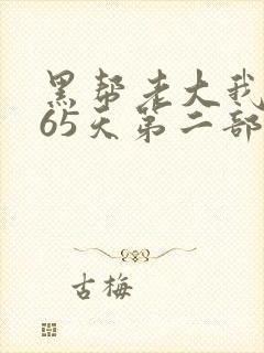 黑帮老大我的365天第二部封面