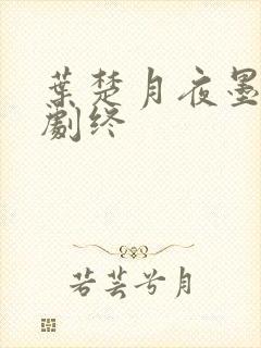 叶楚月夜墨寒全剧终封面