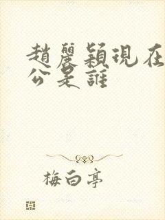 赵丽颖现在的老公是谁封面