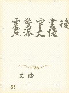 震惊穿书后娶了反派大佬