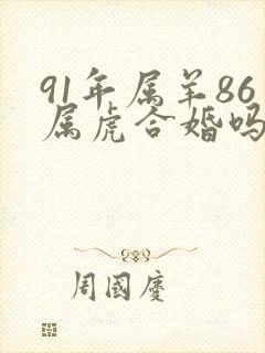 91年属羊86属虎合婚吗