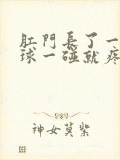 肛门长了一个肉球一碰就疼