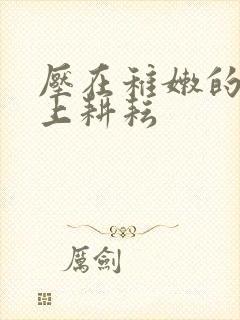 压在稚嫩的身体上耕耘