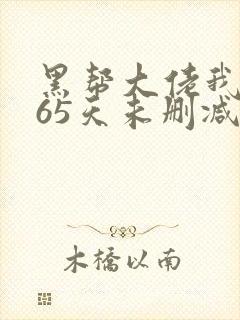 黑帮大佬我的365天未删减