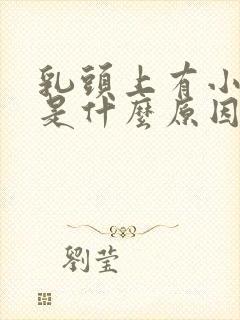 乳头上有小疙瘩是什么原因