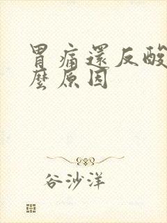 胃痛还反酸水什么原因