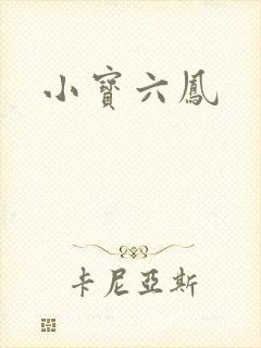 小宝六凤