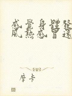 感觉身体发冷是风热感冒还是风寒感冒