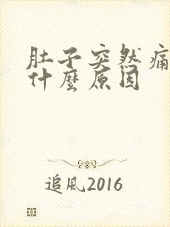 肚子突然痛想吐什么原因