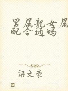 男属龙女属兔婚配合适吗