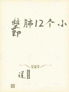 双肺12个小结节