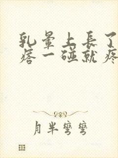 乳晕上长了个疙瘩一碰就疼怎么回事