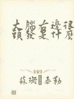 大脑右边很多白头发是什么原因引起的