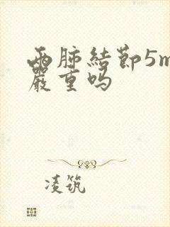 两肺结节5mm严重吗